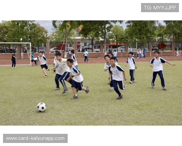 梅州降级后足球公益项目如何持续获得社会支持? 梅州降级后足球公益项目如何持续获得社会支持?